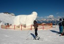 A guide to skiing by Shange Lao
