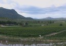Hua Hin Hills – Thajská perla mezi vinohrady