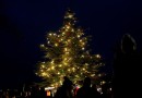AVÍZO: V neděli rozsvítíme vánoční strom v Zoo Praha