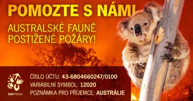 PŘES MILION KORUN NA POMOC AUSTRÁLII!